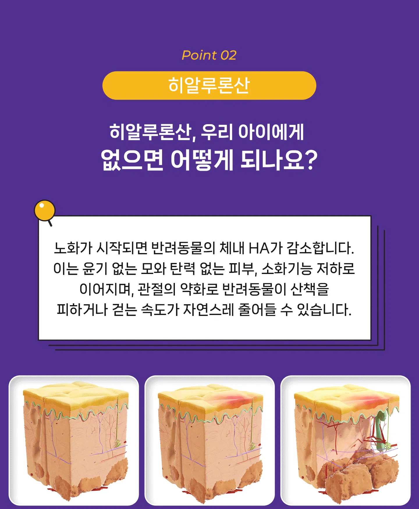 [NEW신상][무료배송] 헬시얌 스킨 프로바이오틱스 30포 17번째