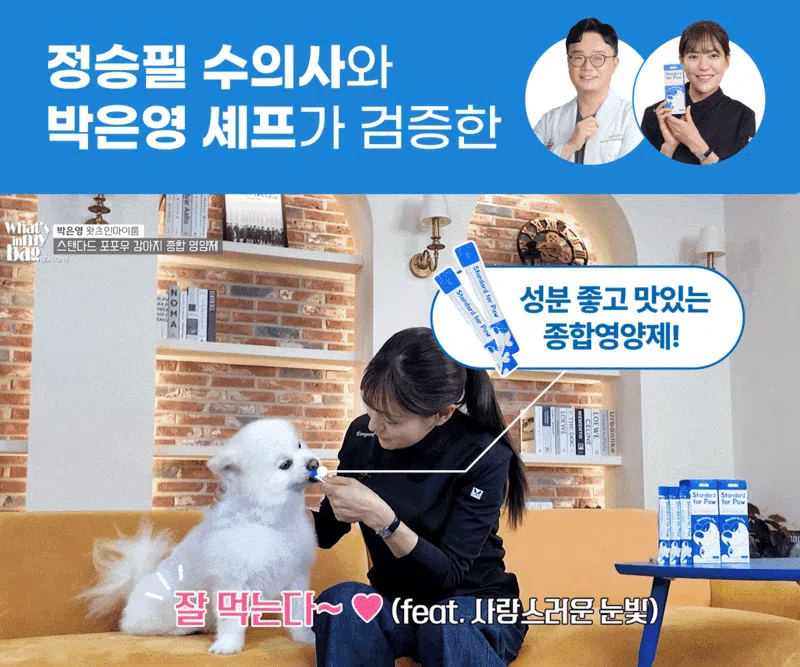 [NEW신상]스탠다드포포우 독 종합영양제 10g*10개입 2번째