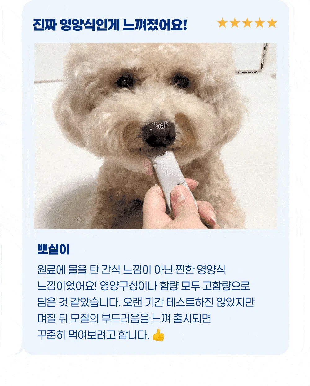 [NEW신상]스탠다드포포우 독 종합영양제 10g*10개입 6번째