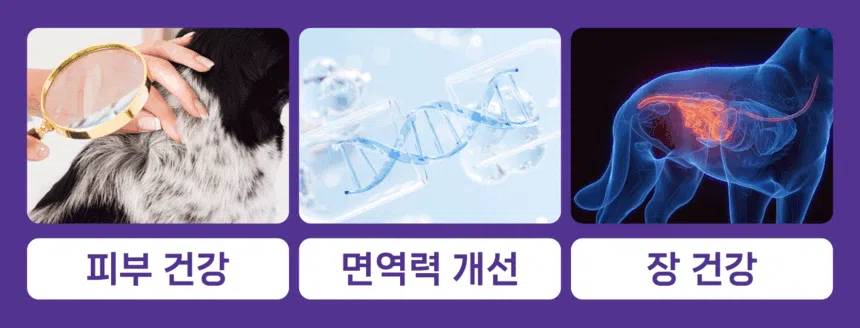 [NEW신상][무료배송] 헬시얌 스킨 프로바이오틱스 30포 8번째