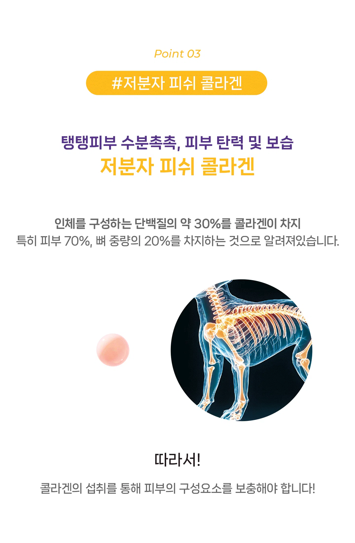 [NEW신상][무료배송] 헬시얌 스킨 프로바이오틱스 30포 20번째