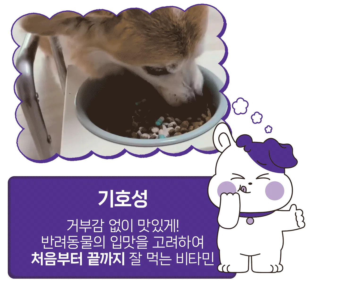 [NEW신상][무료배송] 헬시얌 스킨 프로바이오틱스 30포 23번째