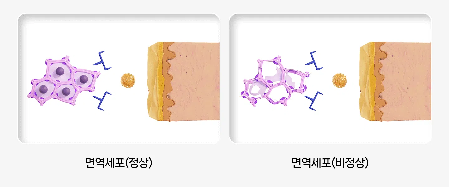 [NEW신상][무료배송] 헬시얌 스킨 프로바이오틱스 30포 13번째