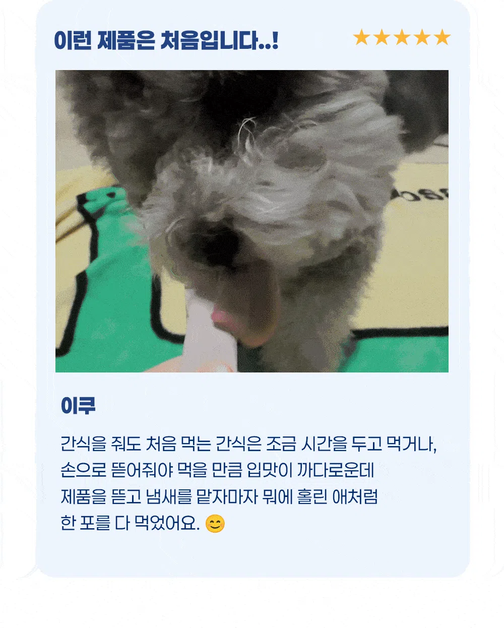 [NEW신상]스탠다드포포우 독 종합영양제 10g*10개입 5번째