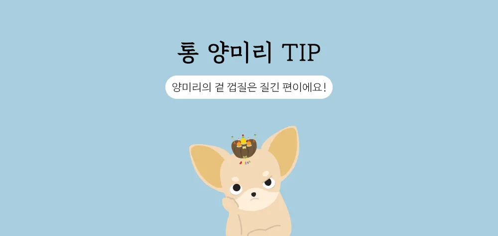 조공 양미리 15g 12번째