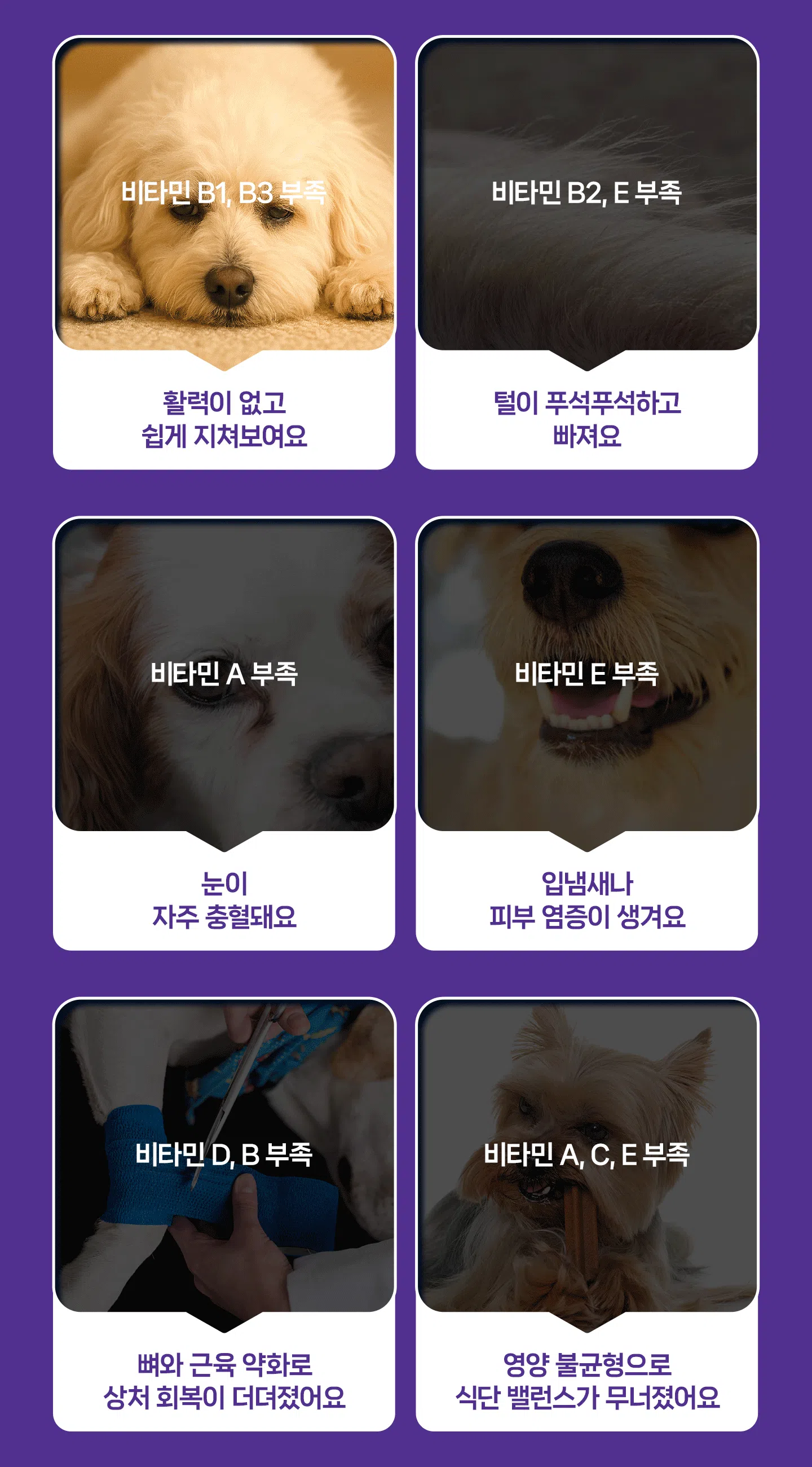 [NEW신상][무료배송] 헬시얌 멀티 비타 30정 3번째