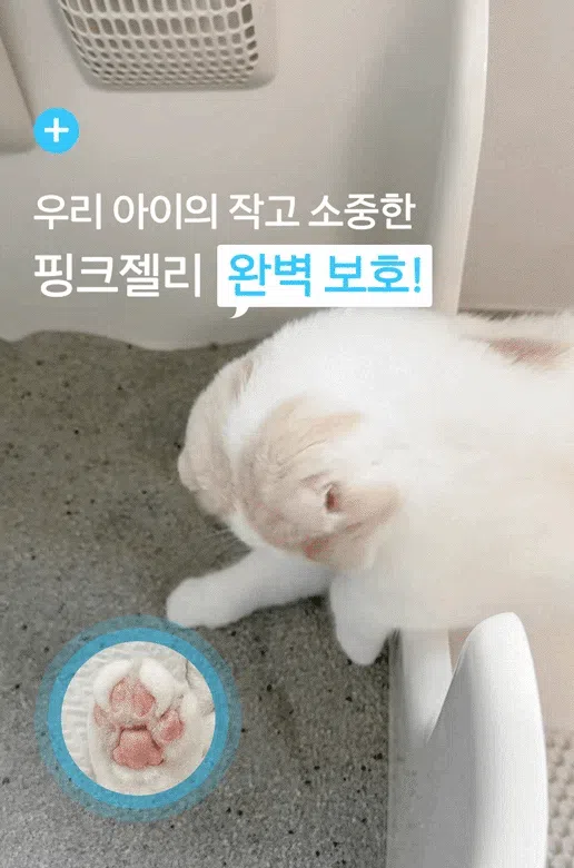 [체험단] [무료배송] 펫바이블 더스트락 먼지없는 벤토나이트 모래 무향 12kg (6kg*2ea) 14번째