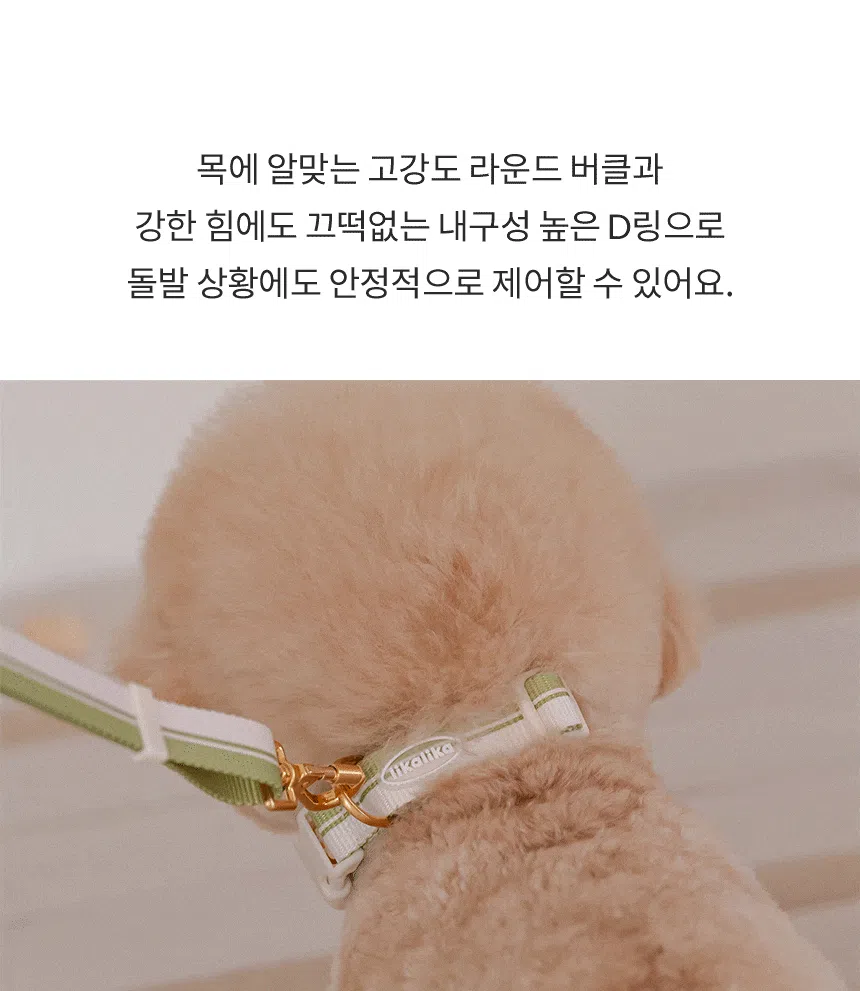 [NEW신상][무료배송] 리카리카 브리즈 워크 목줄 웜그레이/오션블루/올리브 M-L 6번째