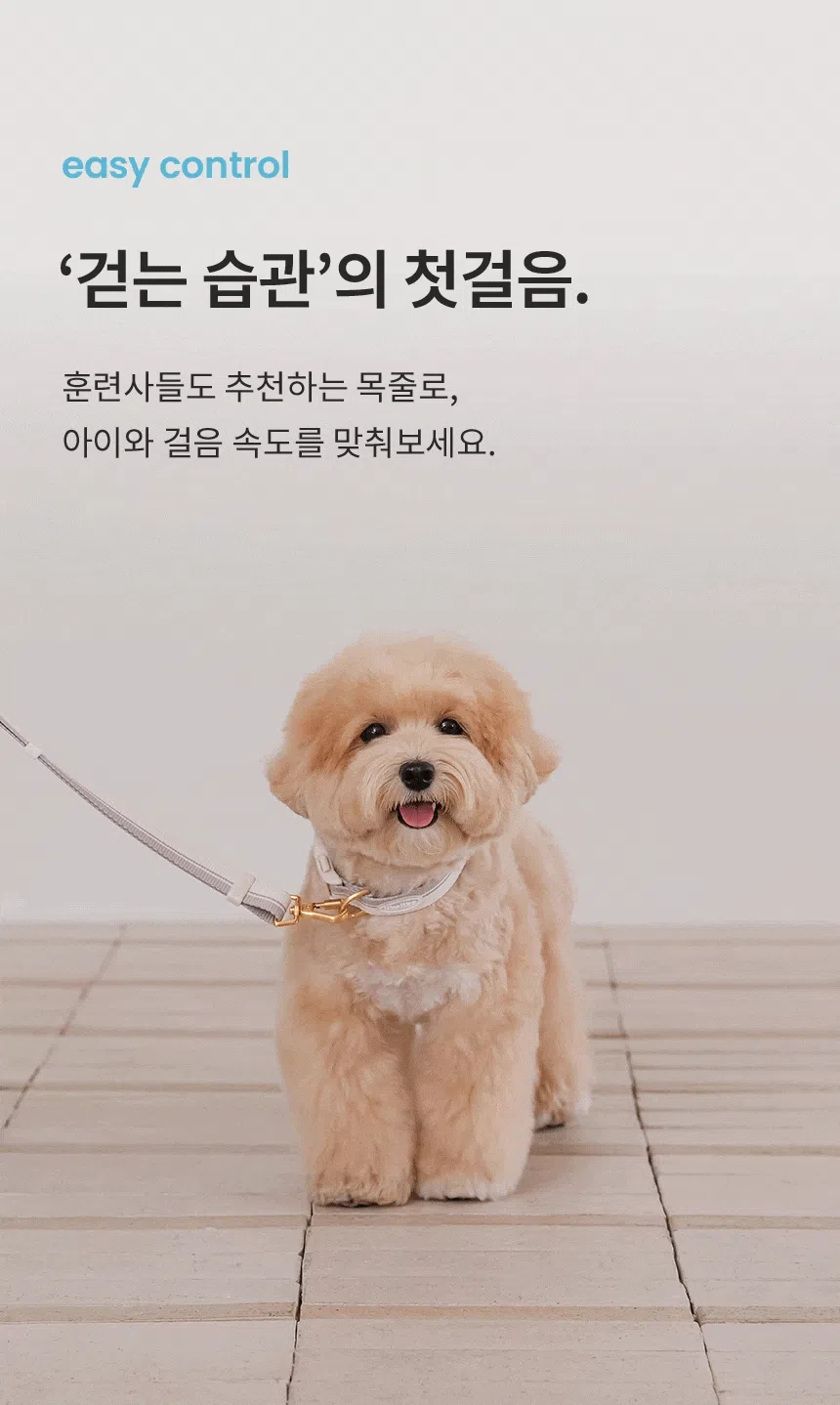 [NEW신상][무료배송] 리카리카 브리즈 워크 목줄 웜그레이/오션블루/올리브 M-L 5번째