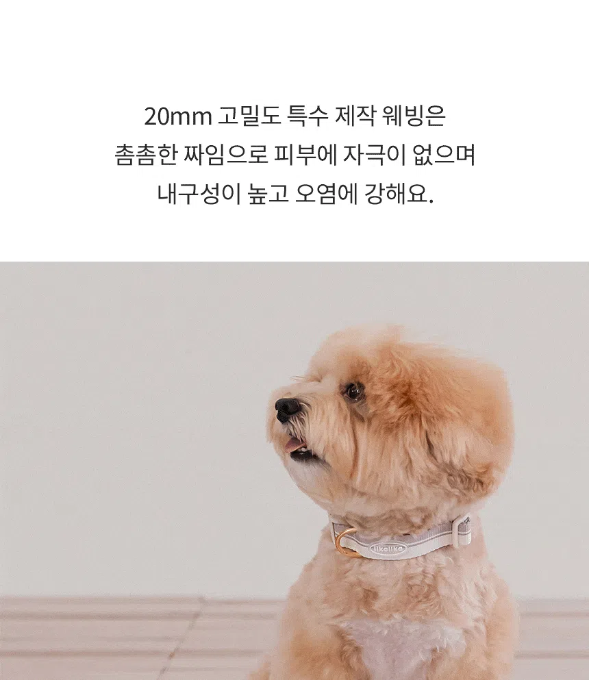 [NEW신상][무료배송] 리카리카 브리즈 워크 목줄 웜그레이/오션블루/올리브 M-L 12번째