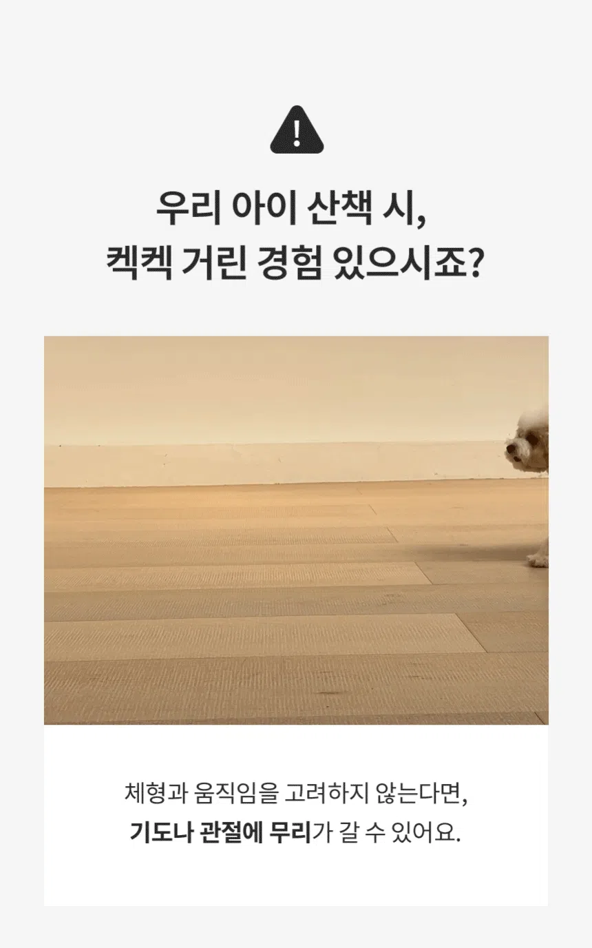 [NEW신상][무료배송] 리카리카 브리즈 워크 하네스 X자형 웜그레이/오션블루/올리브 S-L 4번째