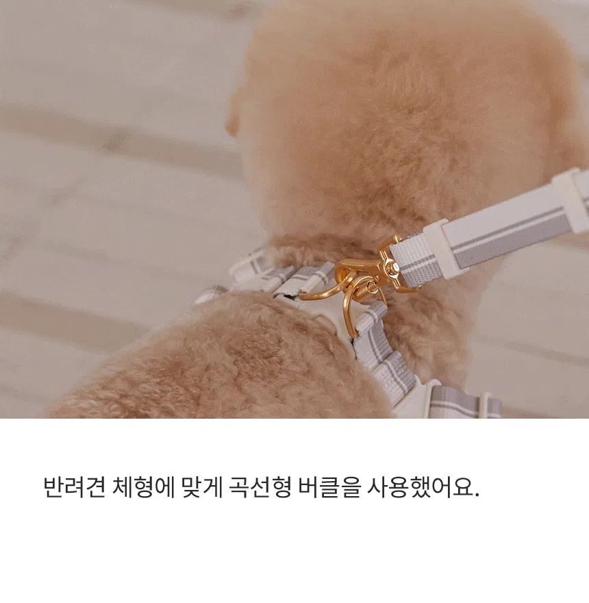 [NEW신상][무료배송] 리카리카 브리즈 워크 하네스 X자형 웜그레이/오션블루/올리브 S-L 12번째