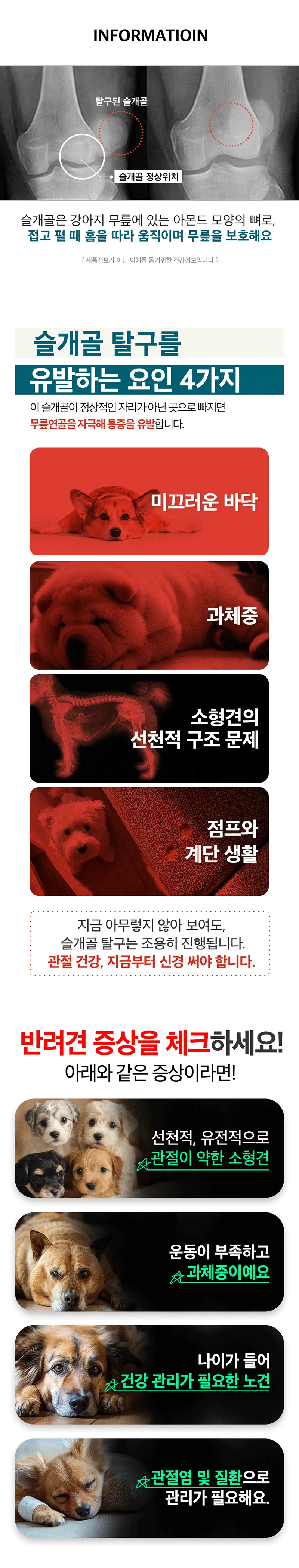 [NEW신상][무료배송] 하루올데이 관절 기능성 유기농 수제 사료 1kg 3번째