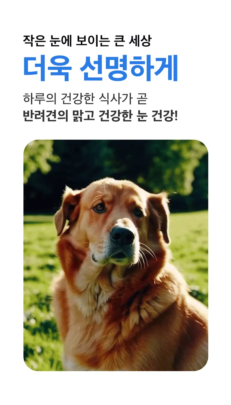 [NEW신상][무료배송] 하루올데이 눈물 기능성 유기농 수제 사료 1kg 3번째