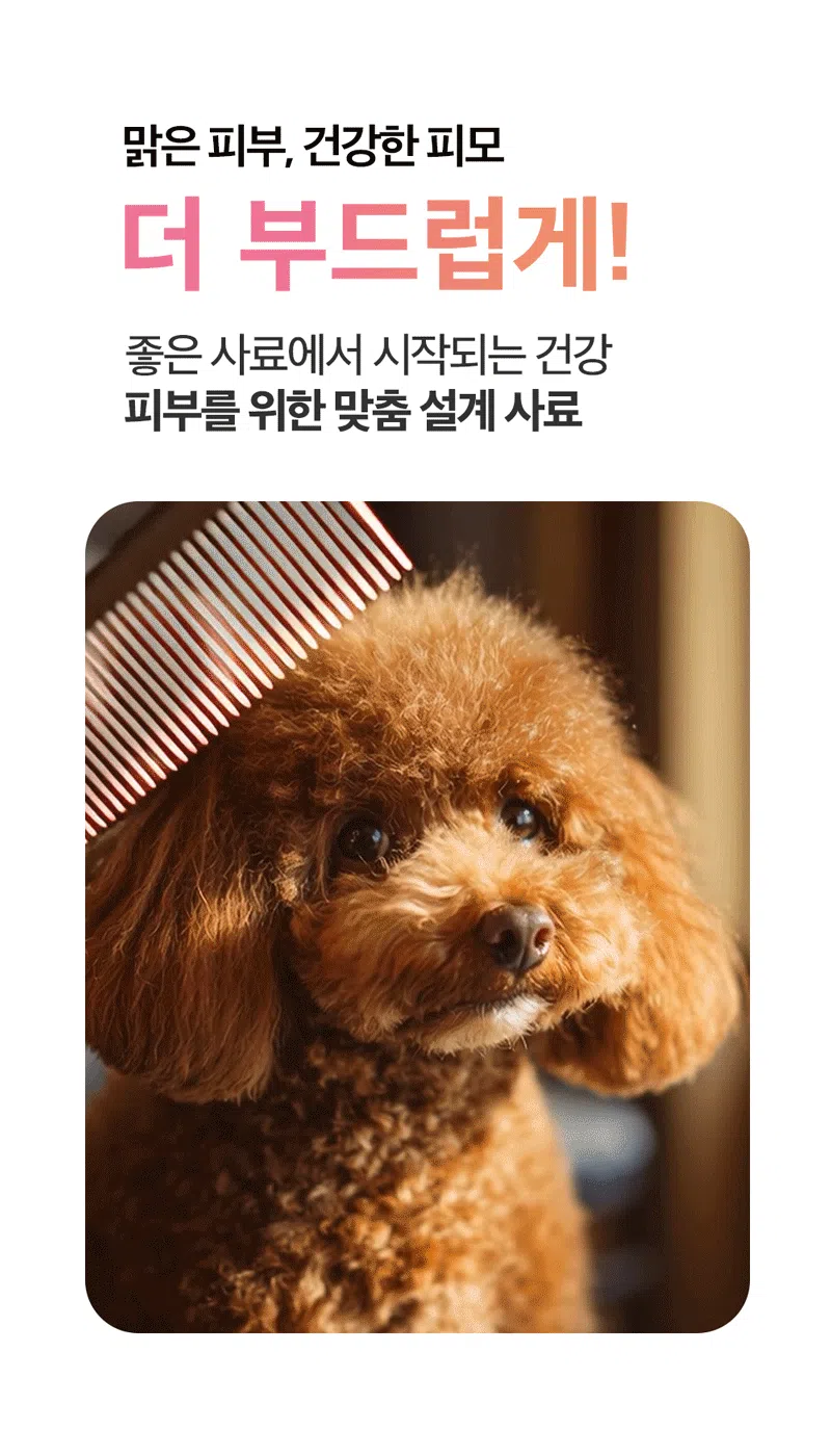 [NEW신상][무료배송] 하루올데이 피부 기능성 유기농 수제 사료 1kg 5번째