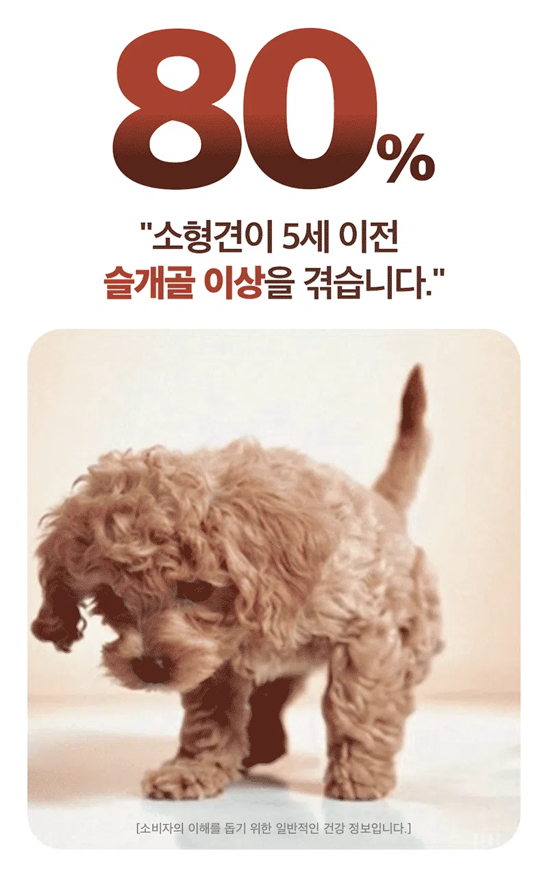 [NEW신상][무료배송] 하루올데이 관절 기능성 유기농 수제 사료 1kg 1번째