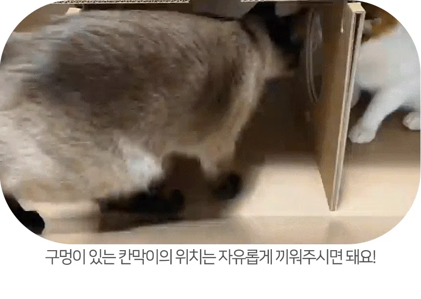 [NEW신상][무료배송] 페이퍼팝 캣 보야지 for cat 종이집 숨숨집 하우스 17번째