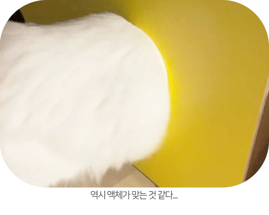 [NEW신상][무료배송] 페이퍼팝 캣 보야지 for cat 종이집 숨숨집 하우스 12번째