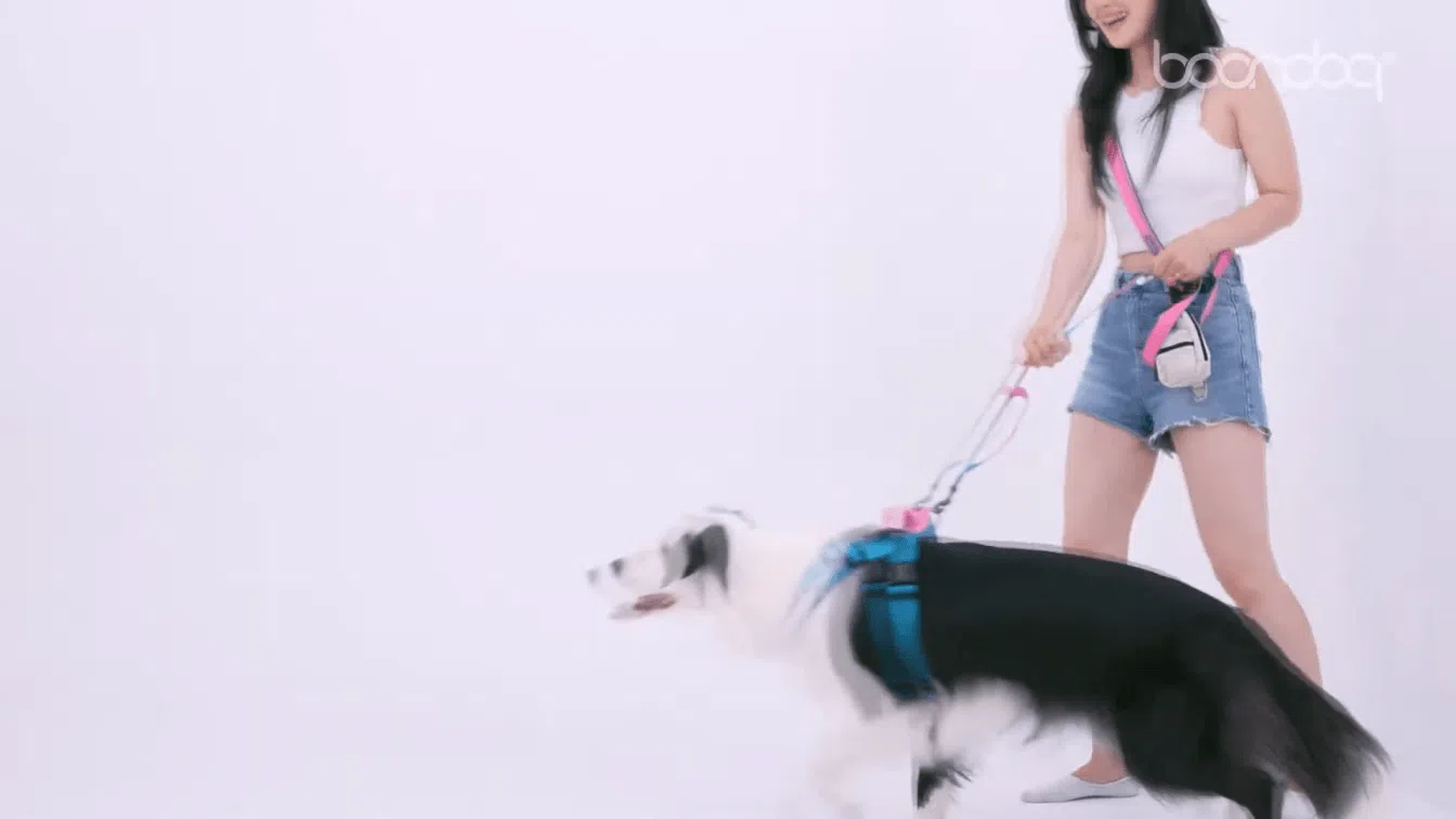 [무료배송] 분독 분볼 리드줄 안정그립&장난감 2번째