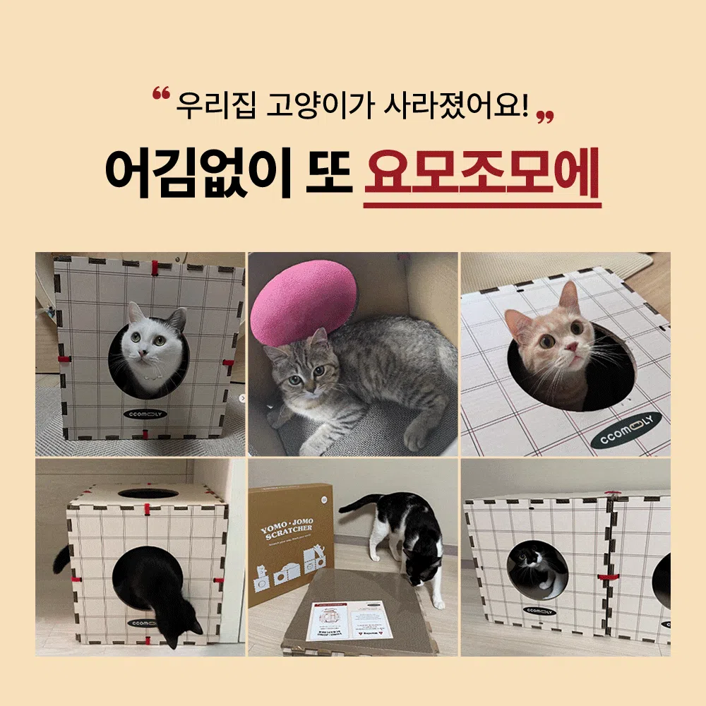 [NEW신상][무료배송] 꼬물리 요모조모 스크래쳐 숨숨집 하우스 1번째