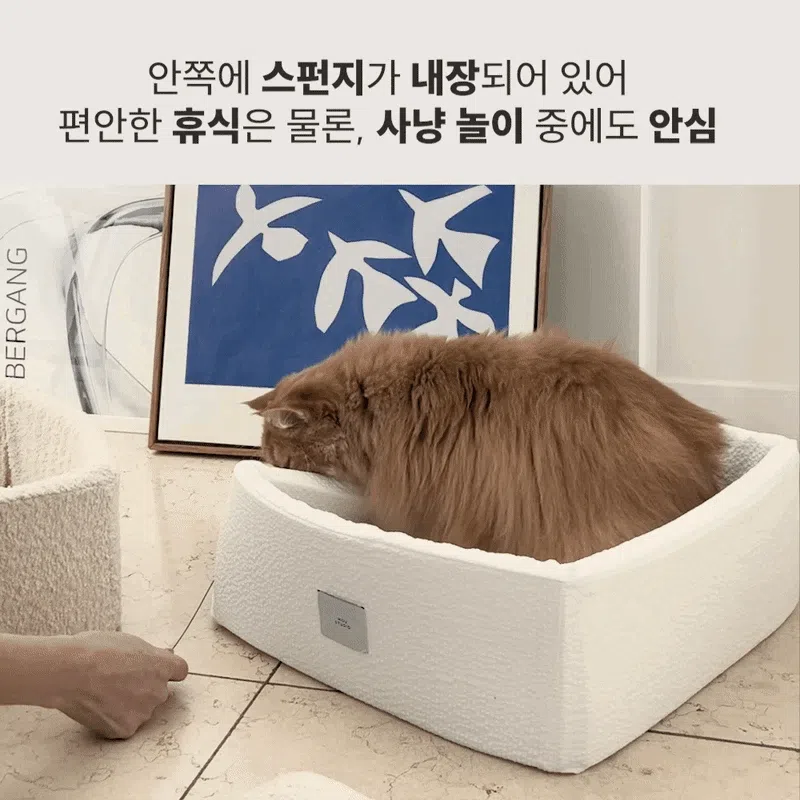 [NEW신상][무료배송] 모우스튜디오 냥범퍼 박스 4번째