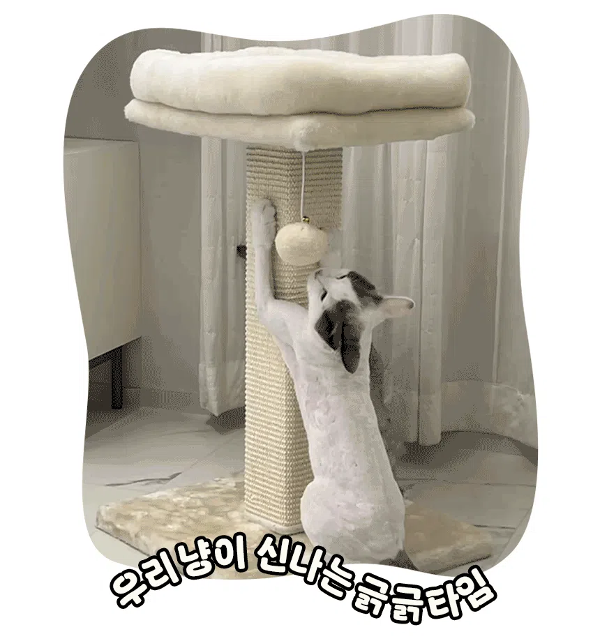 [NEW신상][무료배송] 펫모닝 보송 라운지 스크래쳐 타워 베이지 4번째