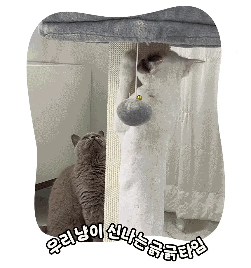 [NEW신상][무료배송] 펫모닝 보송 라운지 스크래쳐 타워 그레이 4번째