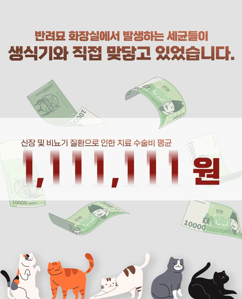 [무료배송] 제주탐라니 프리미엄 제주 화산송이 벤토나이트 오름모래 6kg 1번째