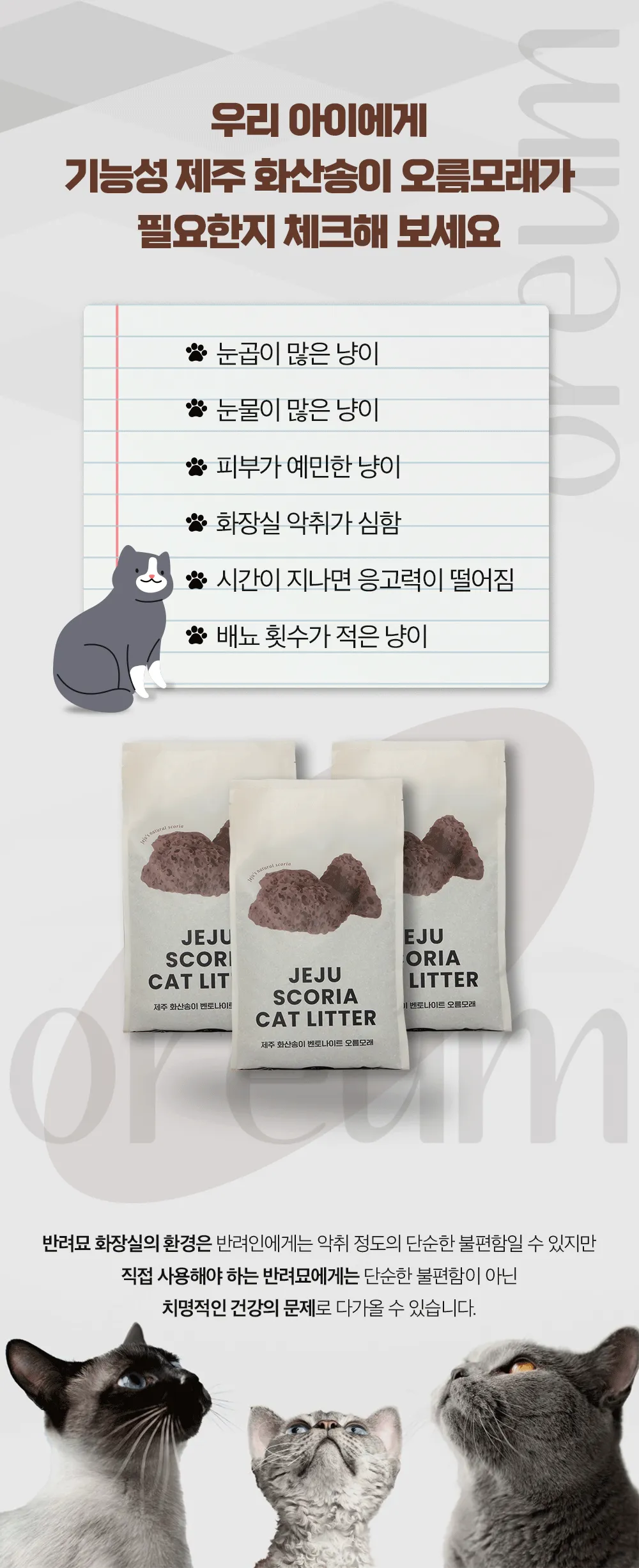 [무료배송] 제주탐라니 프리미엄 제주 화산송이 벤토나이트 오름모래 6kg 3번째