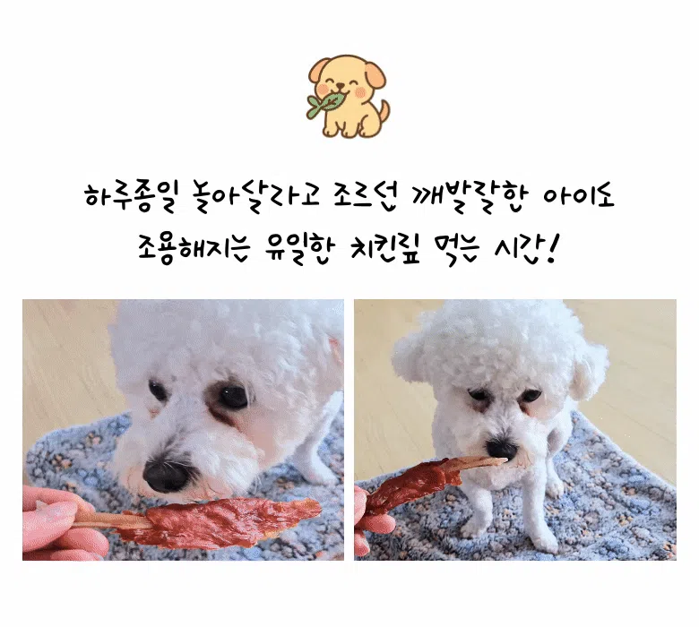 [NEW신상]펫러닝 치킨맆 단호박 15g 2번째