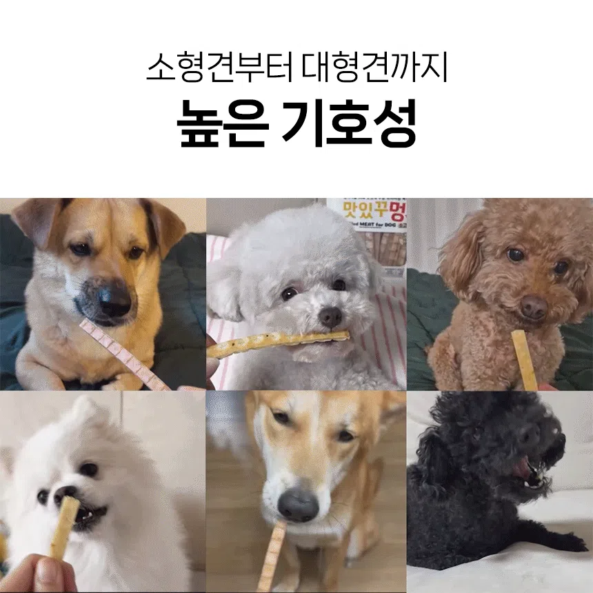 [가을특가]코코브라운 맛있게 구운 프리미엄 육포 맛있꾸멍 명태와 사슴 80g 2번째