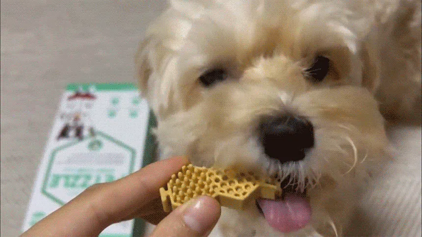 [리뉴얼] [체험팩] 닥터페트라 펫즐 허니콤 오리지널 1p 4번째