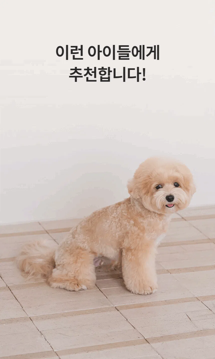 [NEW신상][무료배송] 리카리카 센서블 슬리커 블랙 XS-M 14번째