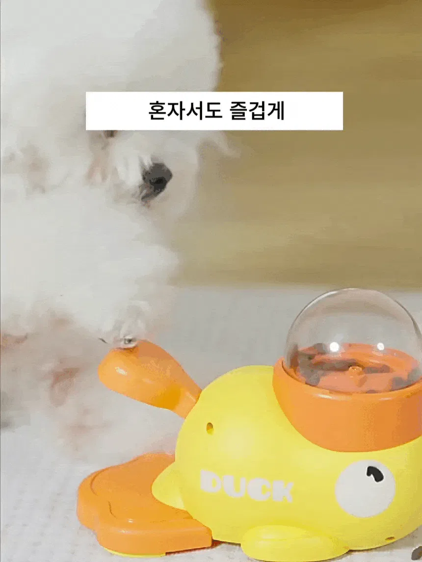 [NEW신상][무료배송] 노는 개 최고양 독 오리 노즈워크 옐로우 노란 덕 3번째