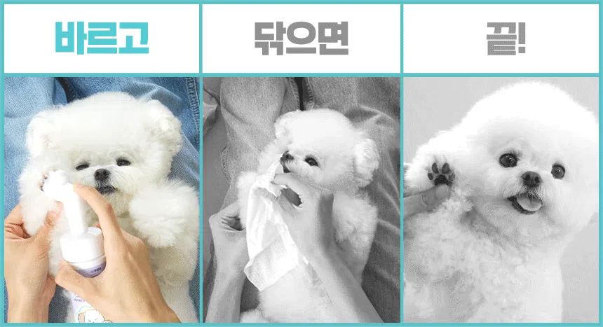 [브랜드전]펫생각 데일리케얼 워터리스 버블 풋 클렌저 150ml 14번째