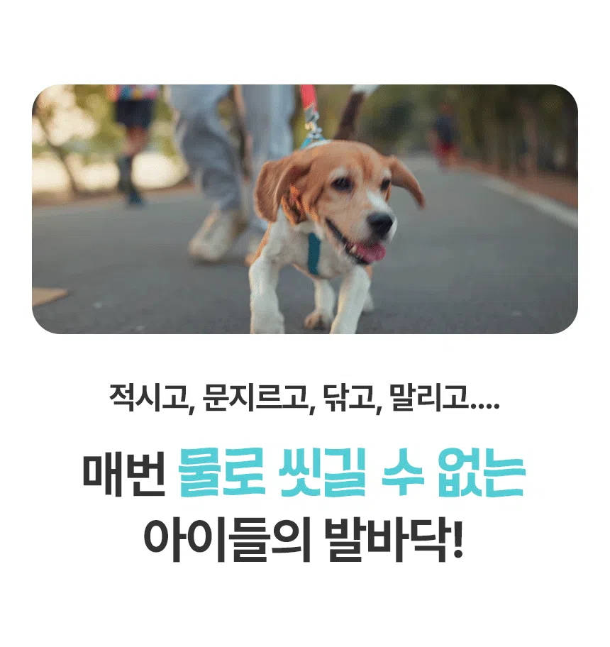[브랜드전]펫생각 데일리케얼 워터리스 버블 풋 클렌저 150ml 1번째