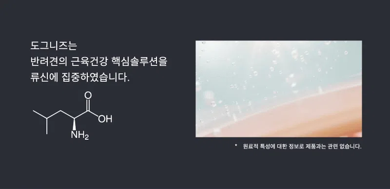 [NEW신상][무료배송] 도그니즈 류신프로틴 240g 9번째
