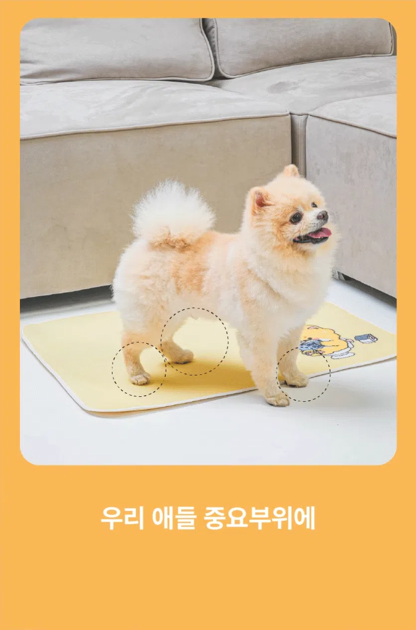 [NEW신상][무료배송] 포레그즈 독 빨아쓰는 배변패드 워시패드 (소형/중형/대형) 13번째