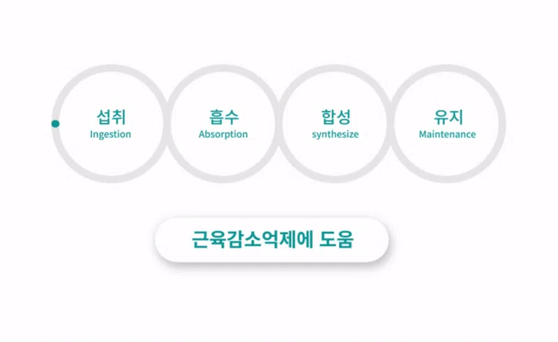 [NEW신상][무료배송] 도그니즈 류신프로틴 240g 7번째