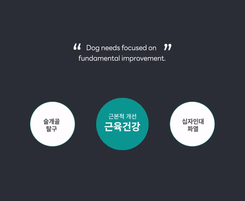 [NEW신상][무료배송] 도그니즈 류신프로틴 240g 5번째