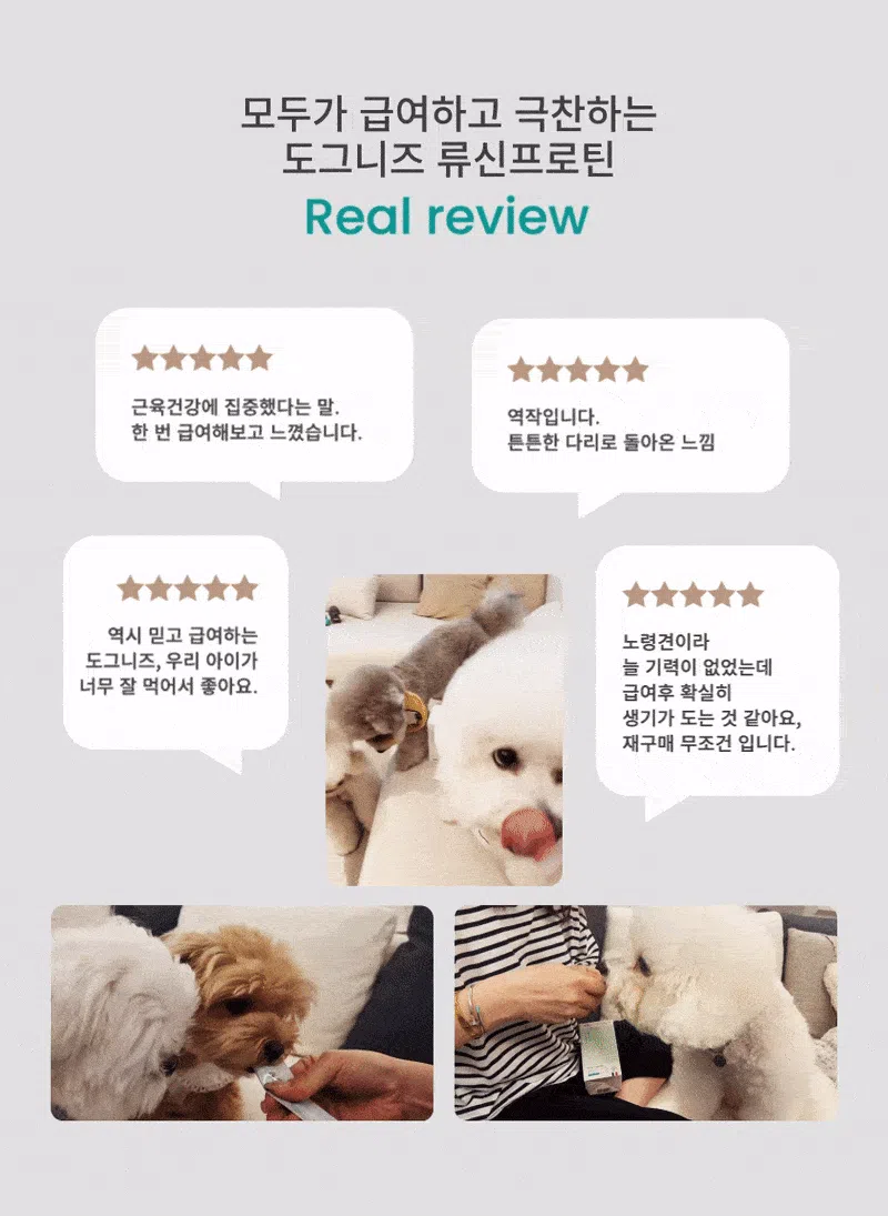 [NEW신상][무료배송] 도그니즈 류신프로틴 240g 15번째