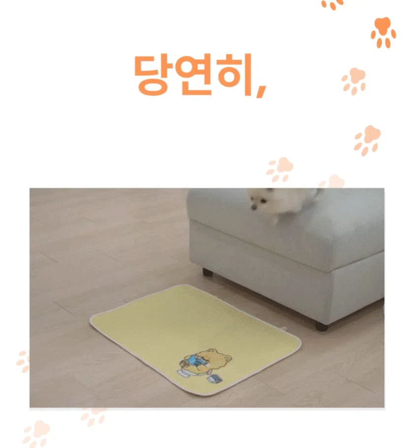 [NEW신상][무료배송] 포레그즈 독 빨아쓰는 배변패드 워시패드 (소형/중형/대형) 11번째