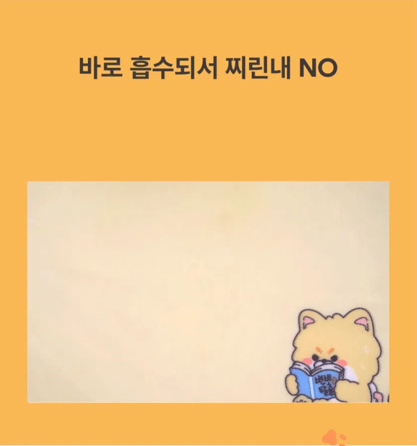 [NEW신상][무료배송] 포레그즈 독 빨아쓰는 배변패드 워시패드 (소형/중형/대형) 10번째
