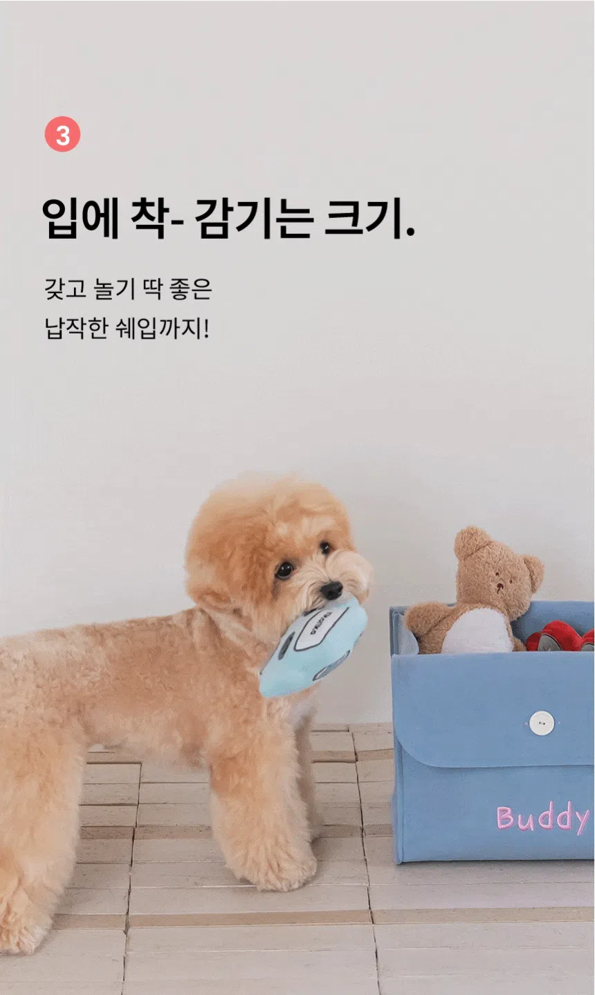 [NEW신상][무료배송] 리카리카 붕붕카 삑삑이 장난감 레드/스카이블루 7번째