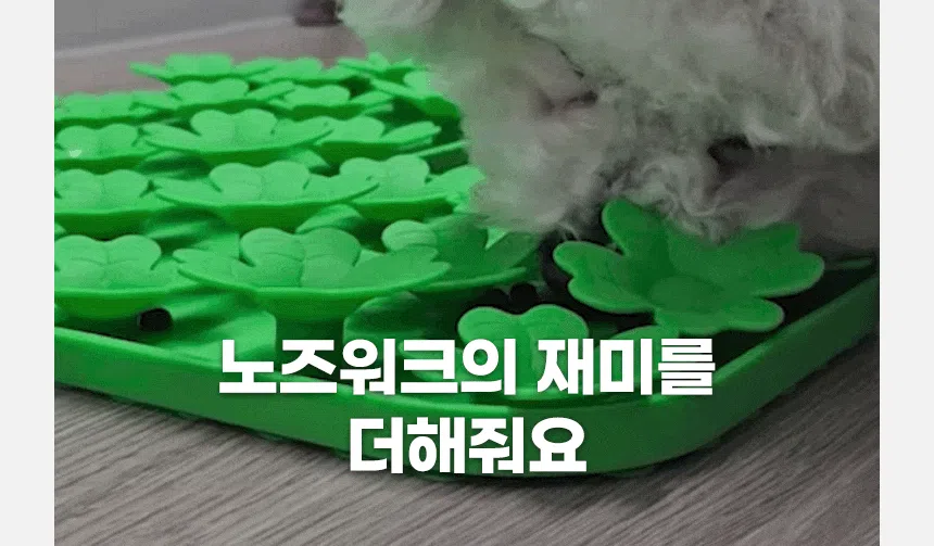 펫팀 새싹 노즈워크 매트 28번째