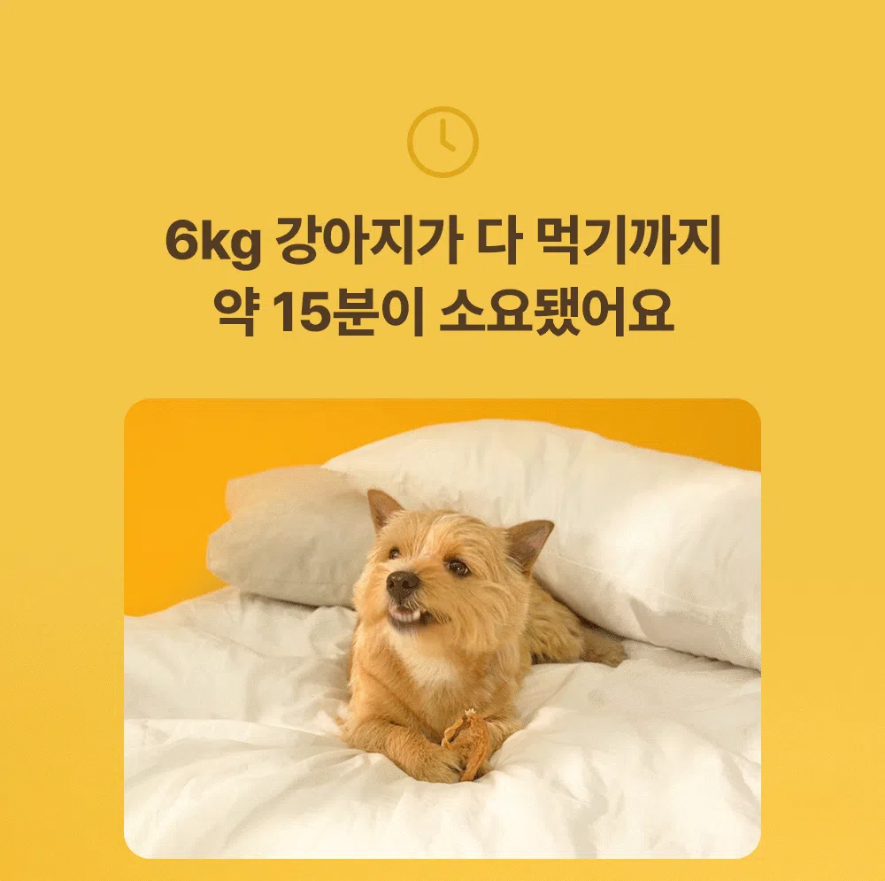 [NEW신상]조공 꿀홍삼 터키츄 스틱 30g 18번째