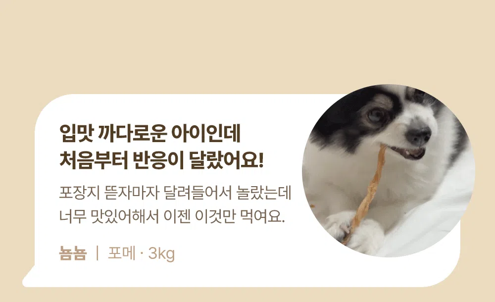 [NEW신상]조공 꿀홍삼 터키츄 스틱 30g 15번째