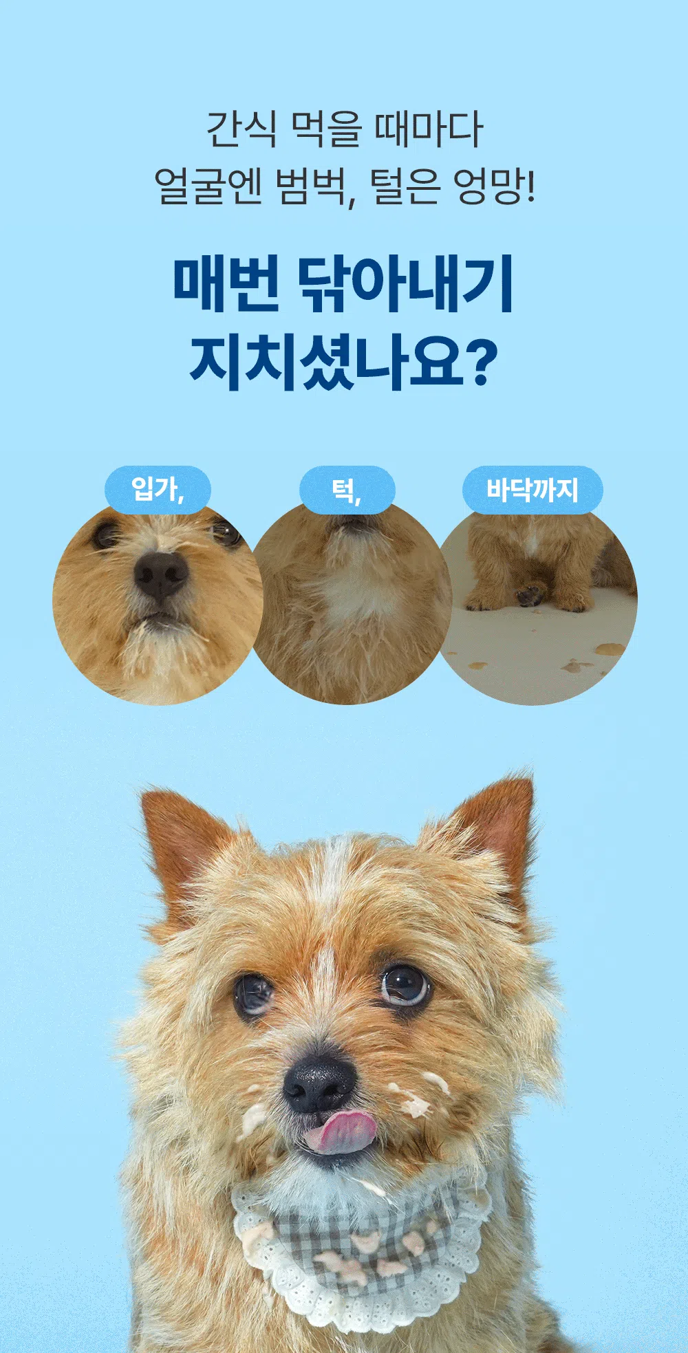[NEW신상]조공 네덜란드 산양유 양갱 피모 8g*4p 1번째