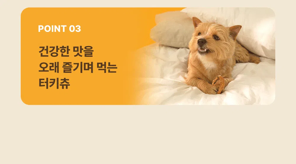 [NEW신상]조공 꿀홍삼 터키츄 스틱 30g 7번째
