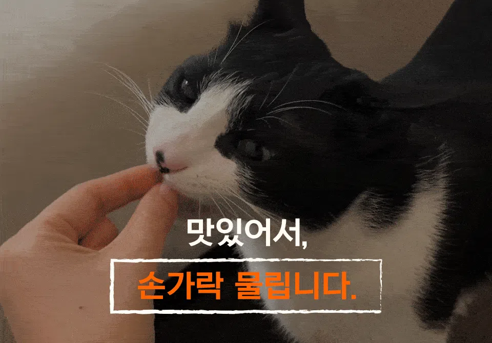 닥터펠리스 캣 유산균 오메가3 데일리솔루션 닭가슴살 30g 3번째